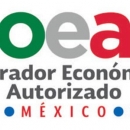 - business audit,togaf